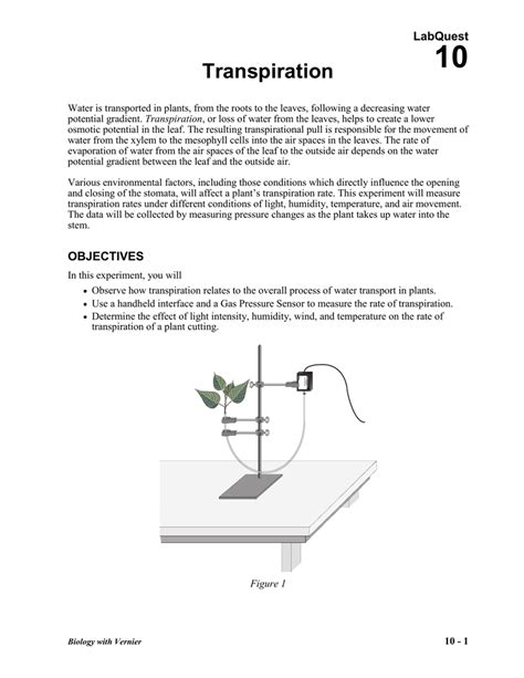 Internal factors affecting <b>transpiration</b> rates include cuticle thickness, hairiness, leaf shape and size, stomata size and density, etc. . Transpiration lab answers